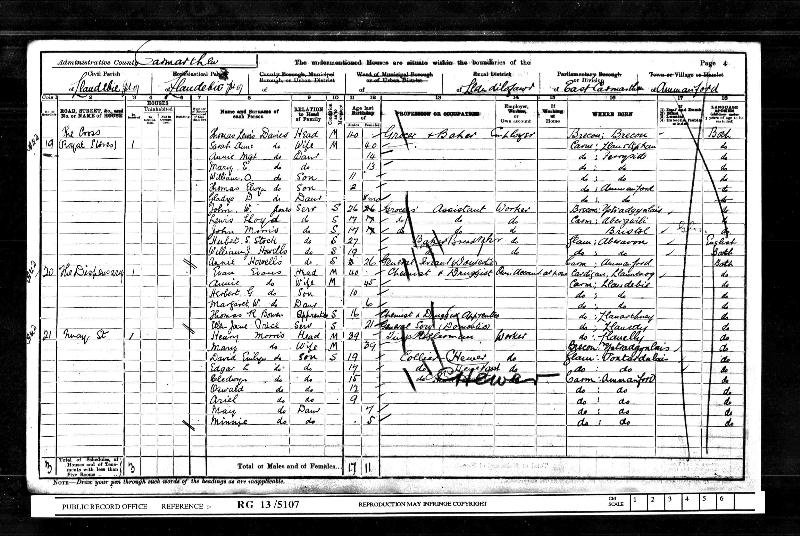 Evans (Herbert Gwynfryn) 1901 Wales Census